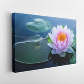 Canvas schilderij - Beautiful pink waterlily or lotus flower in pond.  -     1006750006 - 40*30 Horizontal