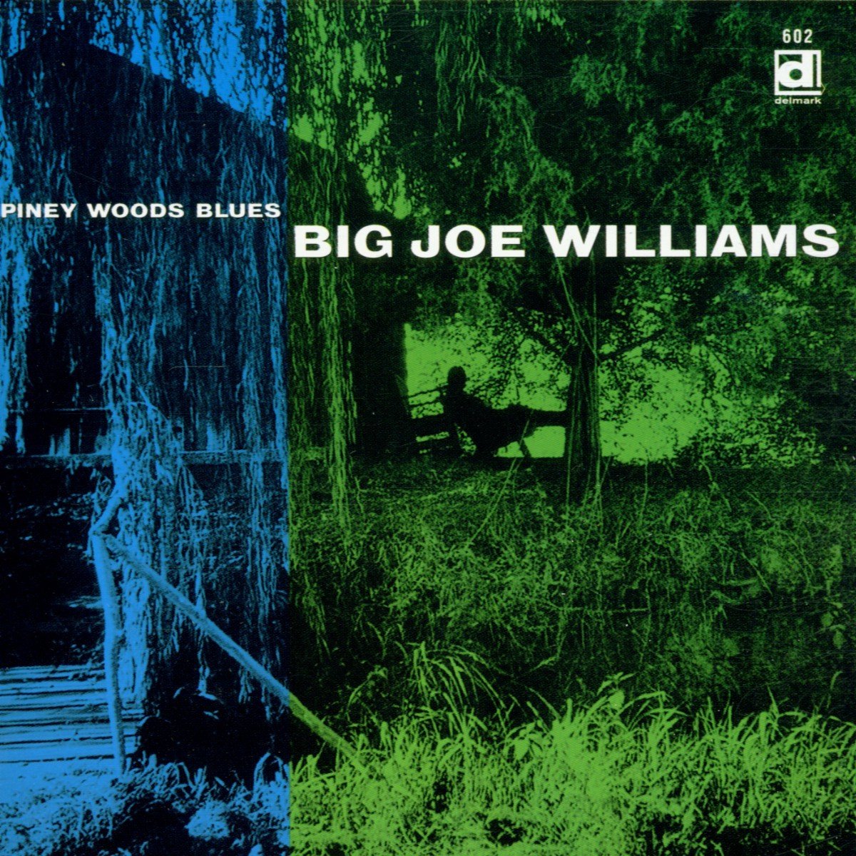 Big Joe Williams - Piney Woods Blues (CD)