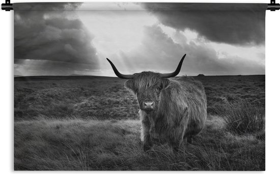 Wandkleed - Wanddoek - Zonnestralen schijnen op Schotse hooglander - zwart wit - 60x40 cm - Wandtapijt