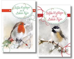 MGPcards - 2 doosjes à 10 Luxe dubbele wenskaarten - Friese tekst - Kerst/Nieuwjaar - Foliebewerking - Witte envelop - 10.5 x 16 cm - 2 Motieven per doosje