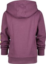 Vingino jongens hoodie Nazloe Anti Purple