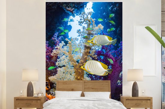Papier peint - Papier peint photo Corail coloré dans un océan avec des poissons - Largeur 170 cm x hauteur 260 cm