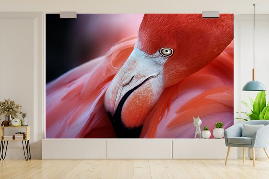 Papier peint photo peint vinyle - Gros plan d'un flamant rose largeur 330 cm x hauteur 220 cm - Tirage photo sur papier peint (disponible en 7 tailles)