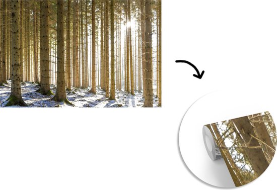 Papier fotobehang Une forêt avec des troncs d'arbres dans un paysage d'hiver