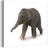 Wanddecoratie Metaal - Aluminium Schilderij Industrieel - Kleine olifant tegen witte achtergrond - 160x120 cm - Dibond - Foto op aluminium - Industriële muurdecoratie - Voor de woonkamer/slaapkamer
