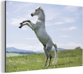 Wanddecoratie Metaal - Aluminium Schilderij Industrieel - Paard - Steigeren - Natuur - 120x80 cm - Dibond - Foto op aluminium - Industriële muurdecoratie - Voor de woonkamer/slaapkamer
