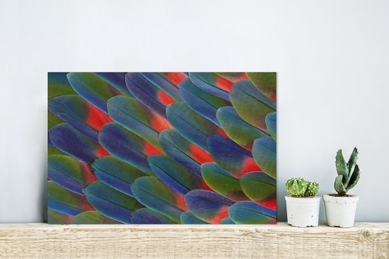 Détail plumes perroquet Aluminium 30x20 cm - petit - Tirage photo sur aluminium (décoration murale métal)