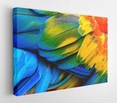 Onlinecanvas - Schilderij - Dicht Bij De Veren De Rode Papegaaivogel Art Horizontaal Horizontal - Multicolor - 115 X 75 Cm