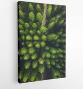 Onlinecanvas - Schilderij - Overdag Bomen Art Verticaal Vertical - Multicolor - 80 X 60 Cm