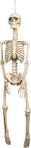 Hangende grote horror decoratie skelet 92 cm - Halloween thema versiering poppen