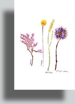 Flowerpainting by Albertien - Handgeschilderde kaarten - Droogbloementjes - enkel