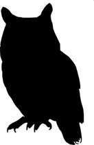 Tableau Noir - Krijtbord Uil Zwart - 60 x 55 cm