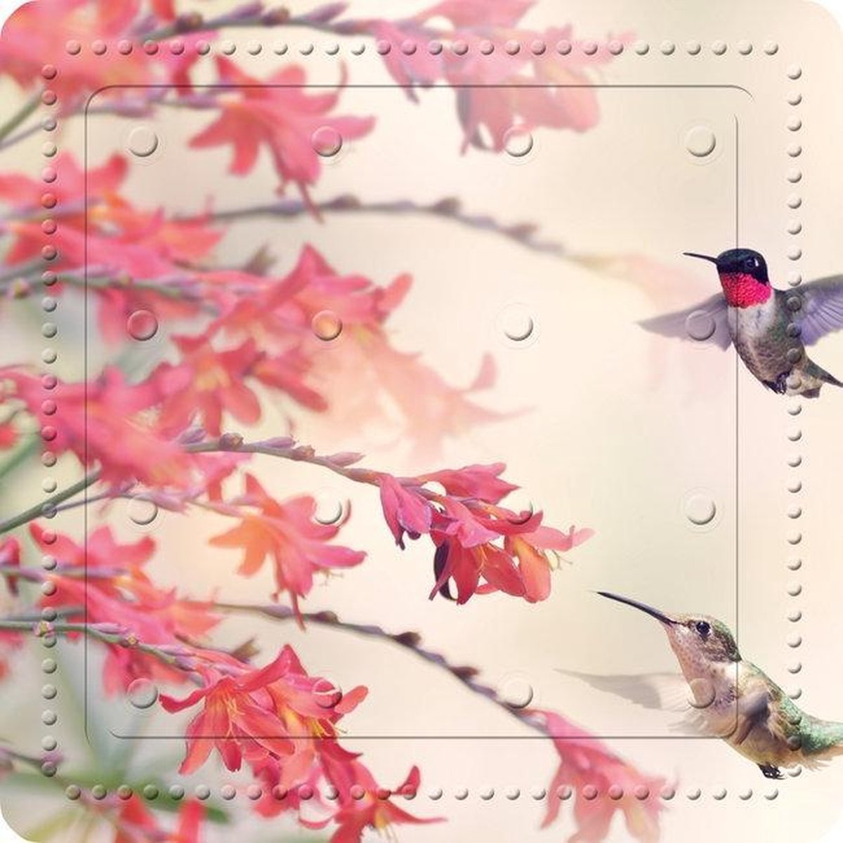 Kleine Wolke - Antislip douchemat Kolibri Multicolour