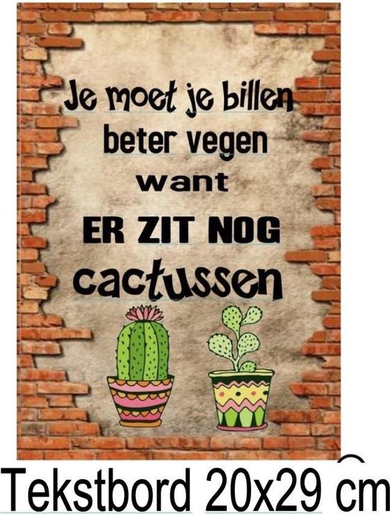 Tekstbord Wand Bord Spreukbord Quotebord Toilet Grappig Cactussen WC Seats Badkamer Cadeau Geschenk Vaderdag Moederdag Verjaardag Spreukborden Spreuk Bord Quoteborden  Wand  Quote Bord Muur Decoratie Hout Tekst Handgemaakt