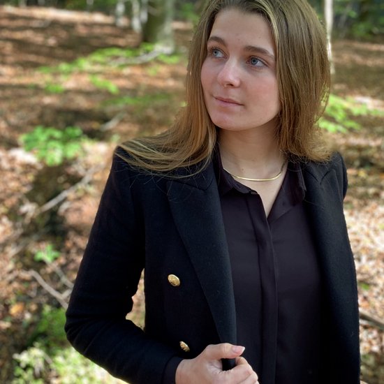 Chaînes AB - Collier - Chaîne en or - Chevrons - Chevrons - Étroit - 3.2mm - Or - Plaqué Or - 18K