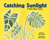 Growing Things - Catching Sunlight