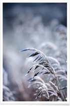 JUNIQE - Poster Frosty Morning 5 -13x18 /Blauw & Grijs