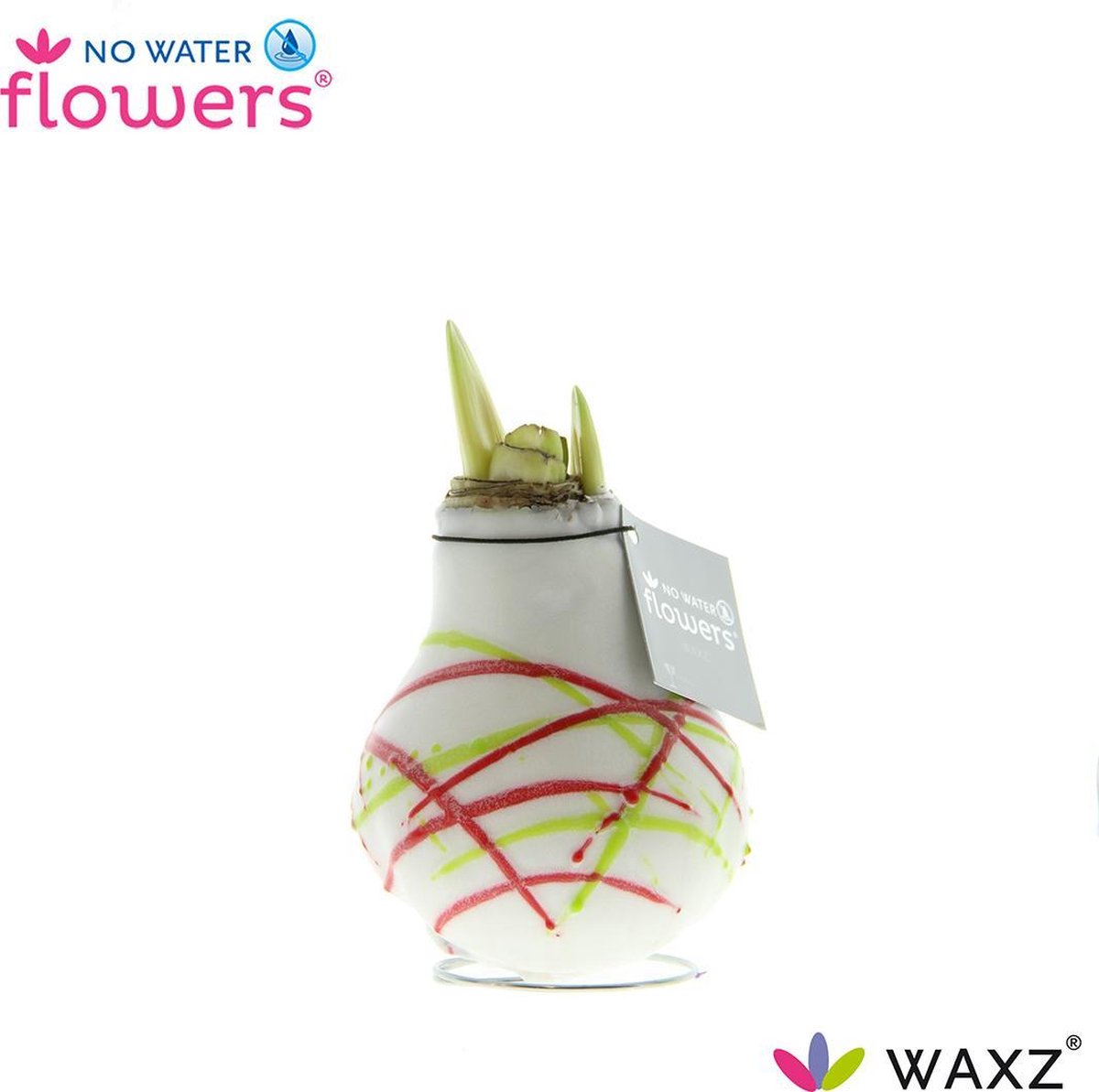 No Water Flowers® Waxz® Art Picasso Wit