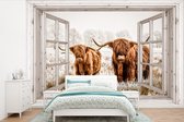 Behang - Fotobehang Doorkijk - Schotse hooglander - Dieren - Breedte 420 cm x hoogte 280 cm