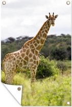 Muurdecoratie Giraf - Planten - Dier - 120x180 cm - Tuinposter - Tuindoek - Buitenposter