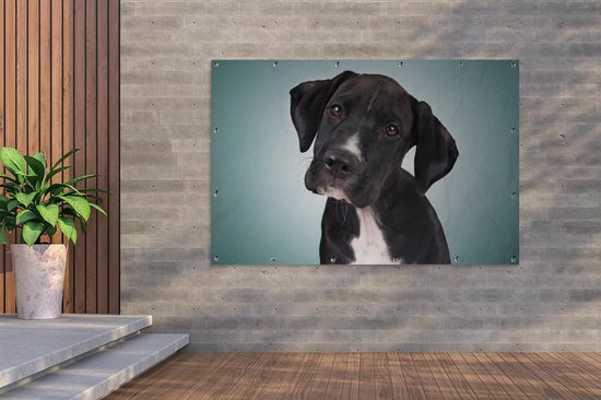 Affiche de jardin chien doux noir et blanc 200x100 cm - Toile de jardin / Toile d'extérieur / Peintures d'extérieur (décoration de jardin) XXL / Groot format!