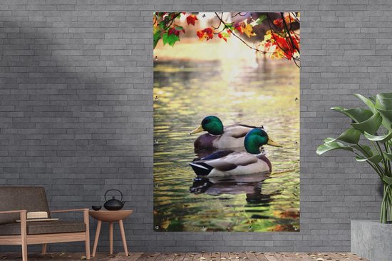 Deux canards sauvages dans un beau paysage Affiche de jardin 120x180 cm - Toile de jardin / Toile d'extérieur / Peintures d'extérieur (décoration de jardin) XXL / Groot format!