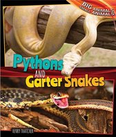 Pythons and Garter Snakes