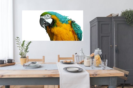 Affiche Perroquet - Vogel - Ressorts - Portrait - 150x75 cm