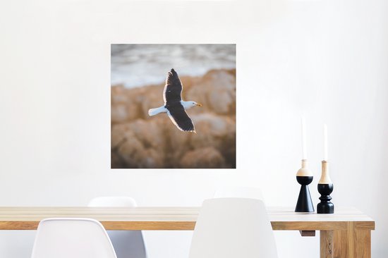 Affiche Mouette - Vogel - Ciel - 50x50 cm
