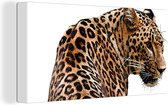 Tableau sur toile Une illustration d'un léopard assis - 40x20 cm - Décoration murale