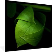 Fotolijst incl. Poster - De details van een groen blad tegen een zwarte achtergrond - 40x40 cm - Posterlijst