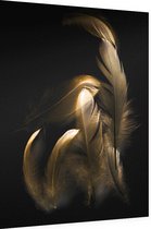 Gouden veren op zwarte achtergrond - Foto op Dibond - 30 x 40 cm