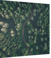 Droneshot van een bos - Foto op Dibond - 60 x 60 cm