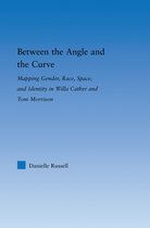 Literary Criticism and Cultural Theory - Between the Angle and the Curve