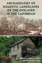 Florida Museum of Natural History: Ripley P. Bullen Series- Archaeology of Domestic Landscapes of the Enslaved in the Caribbean