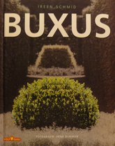 Buxus