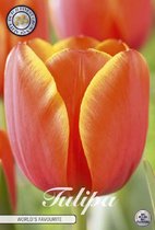 10 x tulpen | World's Favourite