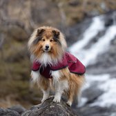 L'élianne - Manteau de sport de Luxe - Manteau pour chien - Vêtements pour chien - Imperméable - Chaud - Rouge Bordeaux TAILLE M, 40 CM