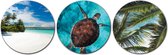 Forex Muurcirkel Set -  Set Tropische Schildpad - - Set van 3 Wandcirkels met Ophangsystemen - 25x25x25