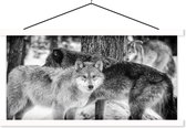 Schoolplaat - Groep wolven in zwart-wit - 150x75 cm - Textielposter Witte latten - Textiel poster