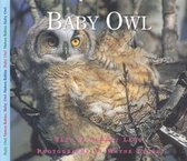 Nature Babies - Baby Owl