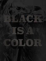 Klaus Verscheure - Black is a color