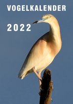 Kalender 2022 Wandkalender | Maandkalender | Dieren | Vogels | Vogelkalender met elke maand een afbeelding van een kleurrijke vogel(s)
