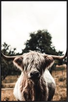 JUNIQE - Poster in kunststof lijst Boris Highland Cow -40x60 /Bruin &