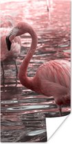 Poster Een groep flamingo's staat in het water - 40x80 cm
