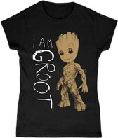 Guardians Of The Galaxy - I Am Groot Scribbles Womens T-Shirt XL