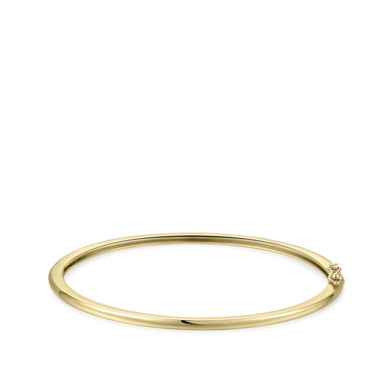 GISSER Jewels VGB004 - Gouden bangle - Halfrond Glimmend - 2,5 mm breed - maat 60 mm - 14kr Geelgoud