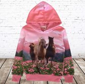Roze hoodie met paard f41 -s&C-146/152-Hoodie meisjes