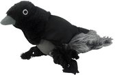 Wild Life Dog Raven (Raaf)