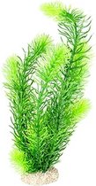 Aqua Della - Aquariumdecoratie - Vissen - Plant Hornwort M - Height 24cm Donkergroen - 1st